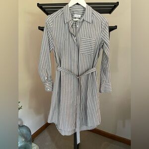 Calvin Klein Collared and Belted Striped Shirt Dress